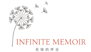 Infinite Memoir